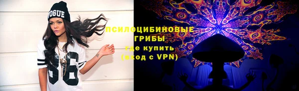 соль ск Лабытнанги