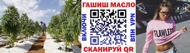 ТГК Wax  Яранск 